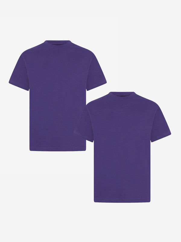 Zeco Kids School Crew Neck T-Shirt (Twin Pack) in Purple